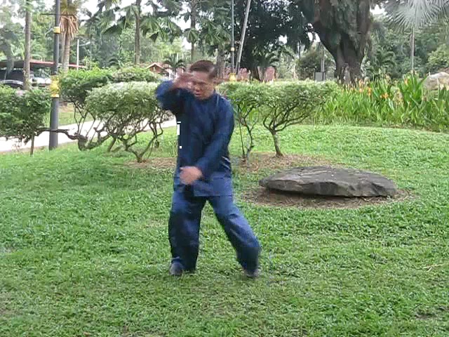 Wu Yu Xiang Style Taijiquan